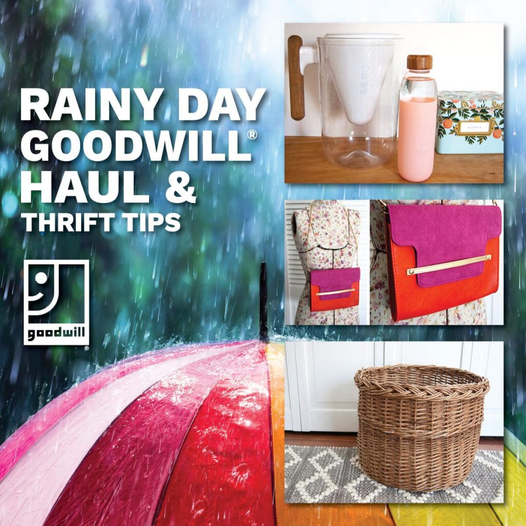 Shareable-Graphic-rainy-day-thrift-haul